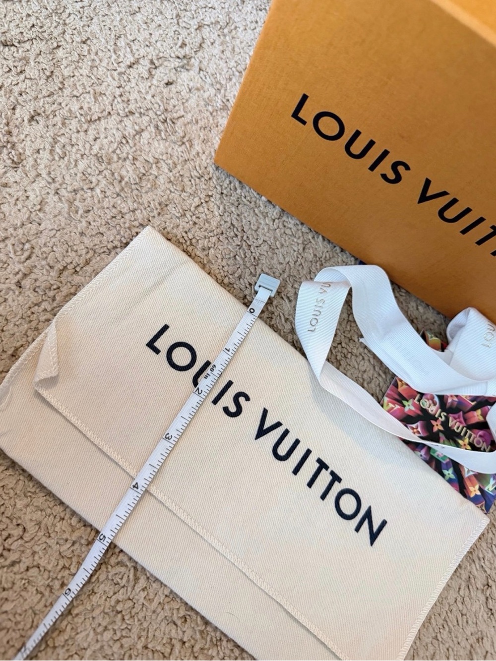 LOUIS VUITTON - Picture 11 of 12